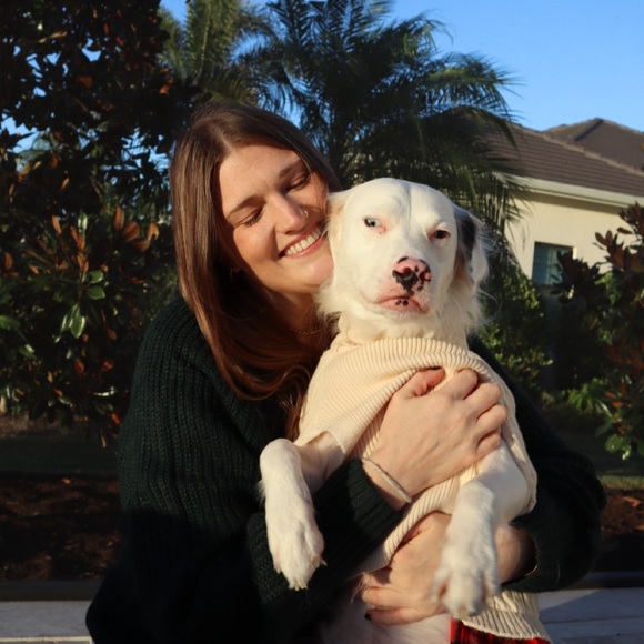 Sunshine, Rescue Dogs & Books 🌞🐕📚 | Priced to Sell Fast ✨ - Picture 2 of 10